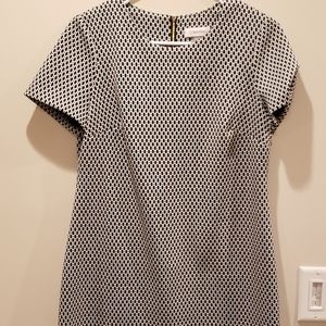 Calvin Klein Black and White Dress 8